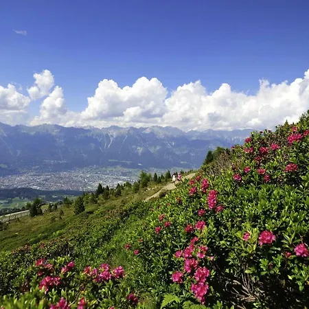 Daire Ferienwohnung-apartment Monika In Innsbruck-igls İnnsbruck