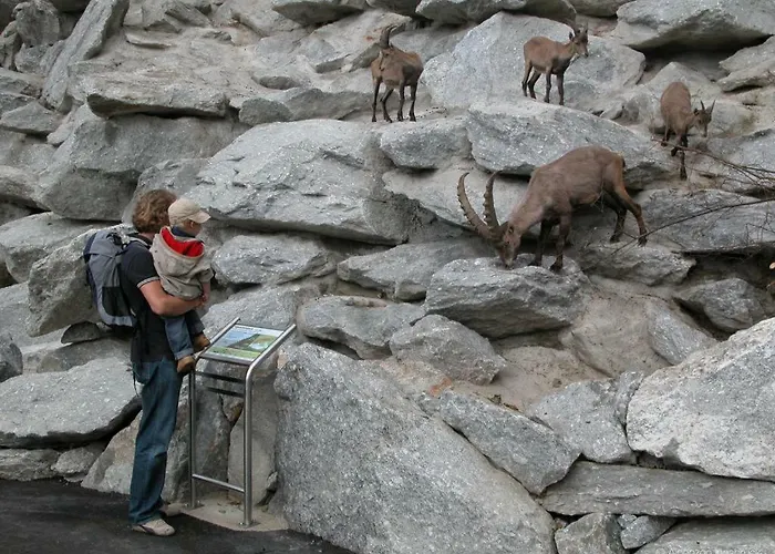 Ferienwohnung-apartment Monika In Innsbruck-igls Апартаменти