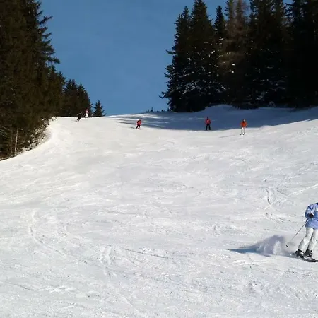 Ferienwohnung-apartment Monika In Innsbruck-igls * إنسبروك